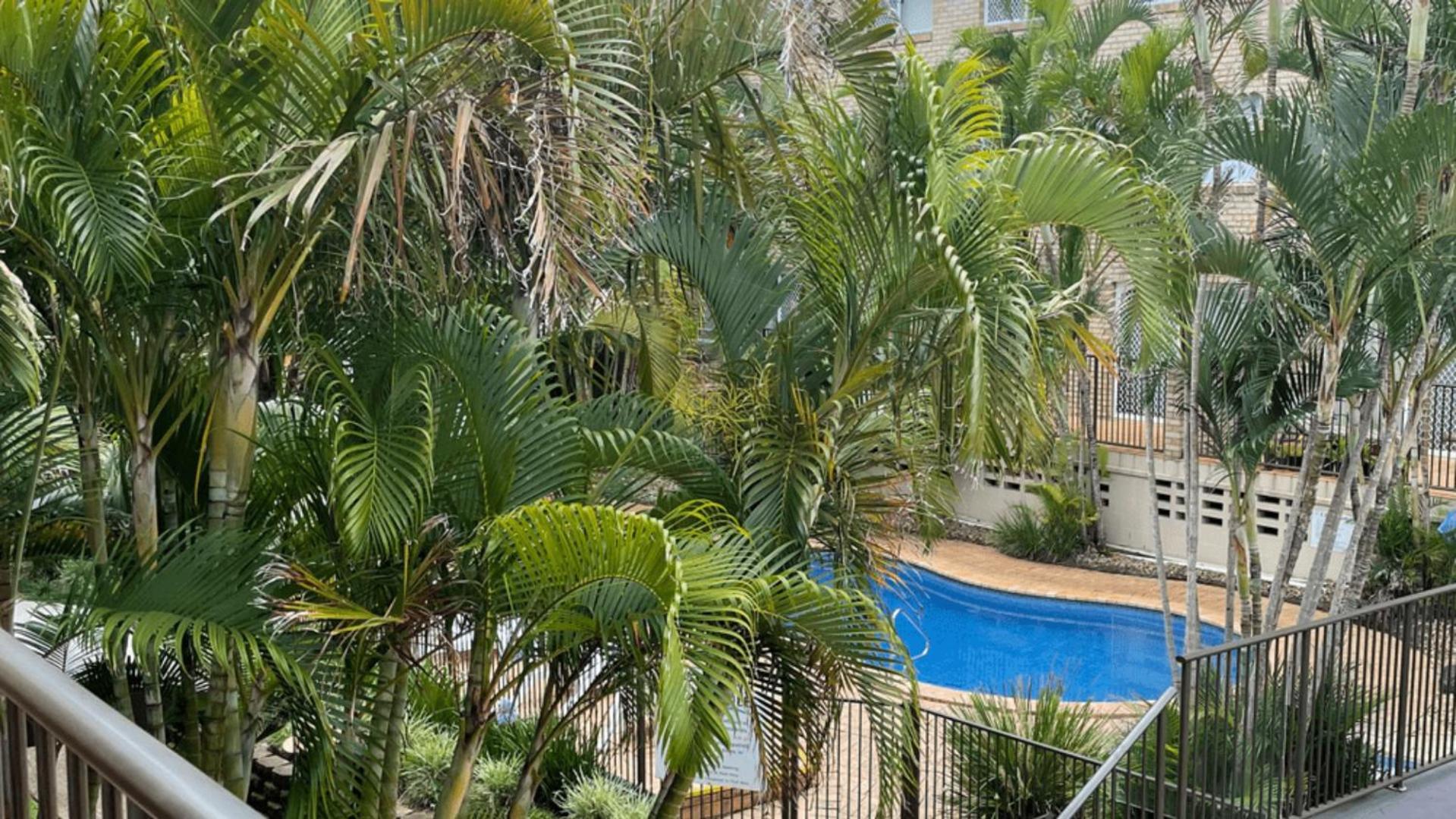 Cabarita Beachfront Apartments By Kingscliff Accommodation Eksteriør billede